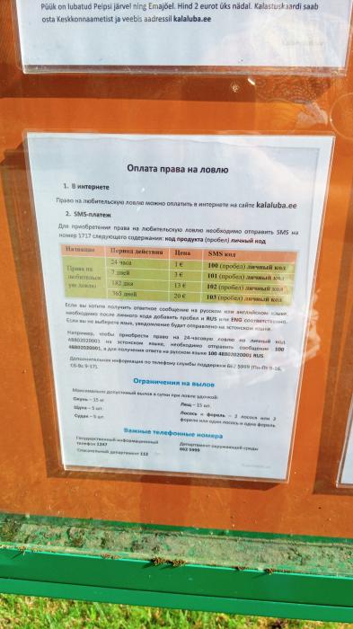 Псковичи стали в два раза реже ездить на рыбалку на Чудское озеро