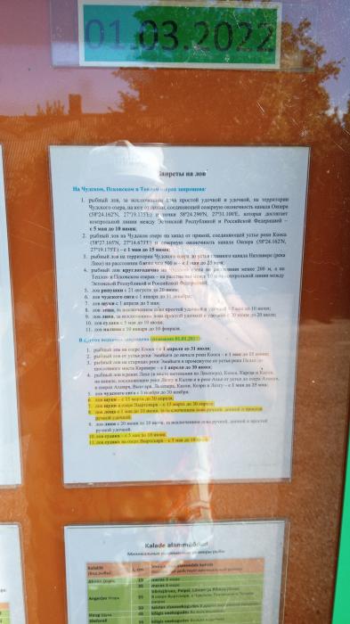 Псковичи стали в два раза реже ездить на рыбалку на Чудское озеро