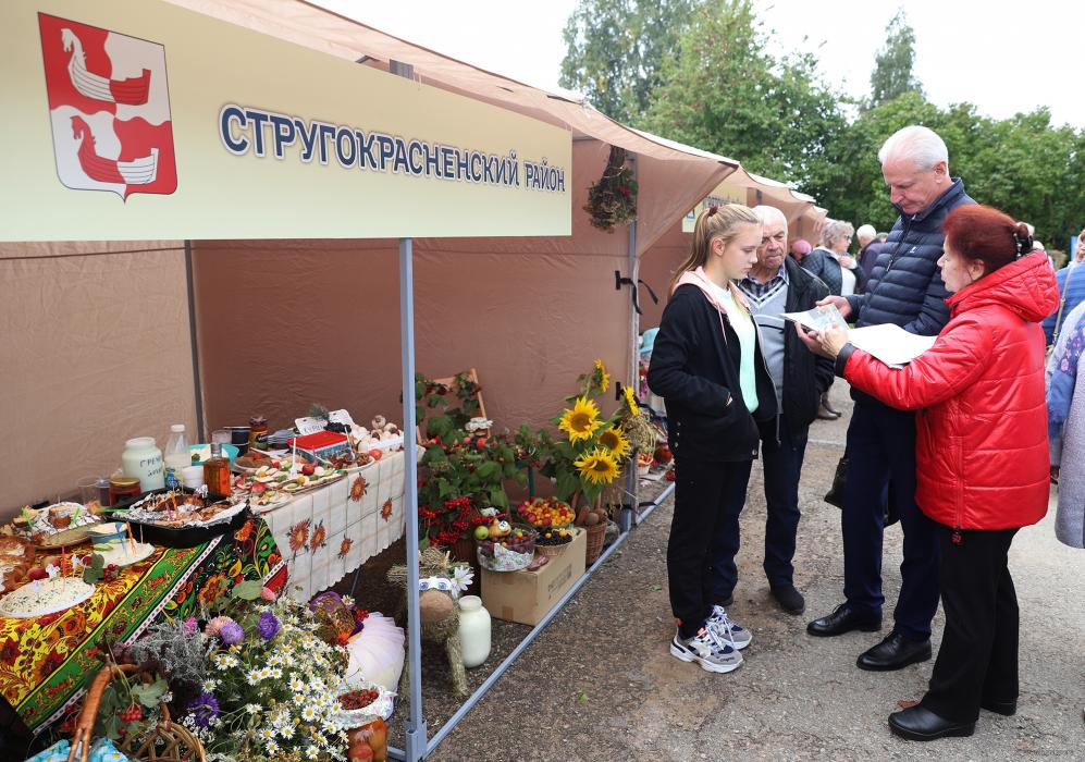 Финал «Ветеранского подворья» в Красногородске