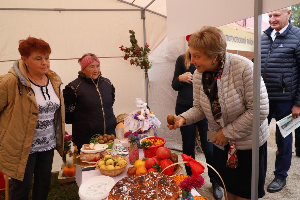 Финал «Ветеранского подворья» в Красногородске