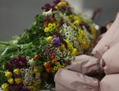 ФОТОРЕПОРТАЖ День местного самоуправления в Пскове