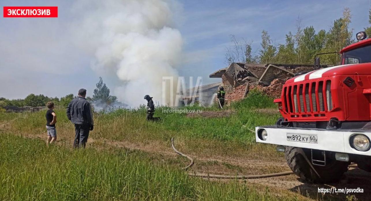 Возгорание мусора произошло у заброшенного склада в городе Дно 