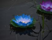 ФОТОРЕПОРТАЖ. Фестиваль водных фонариков в Пскове