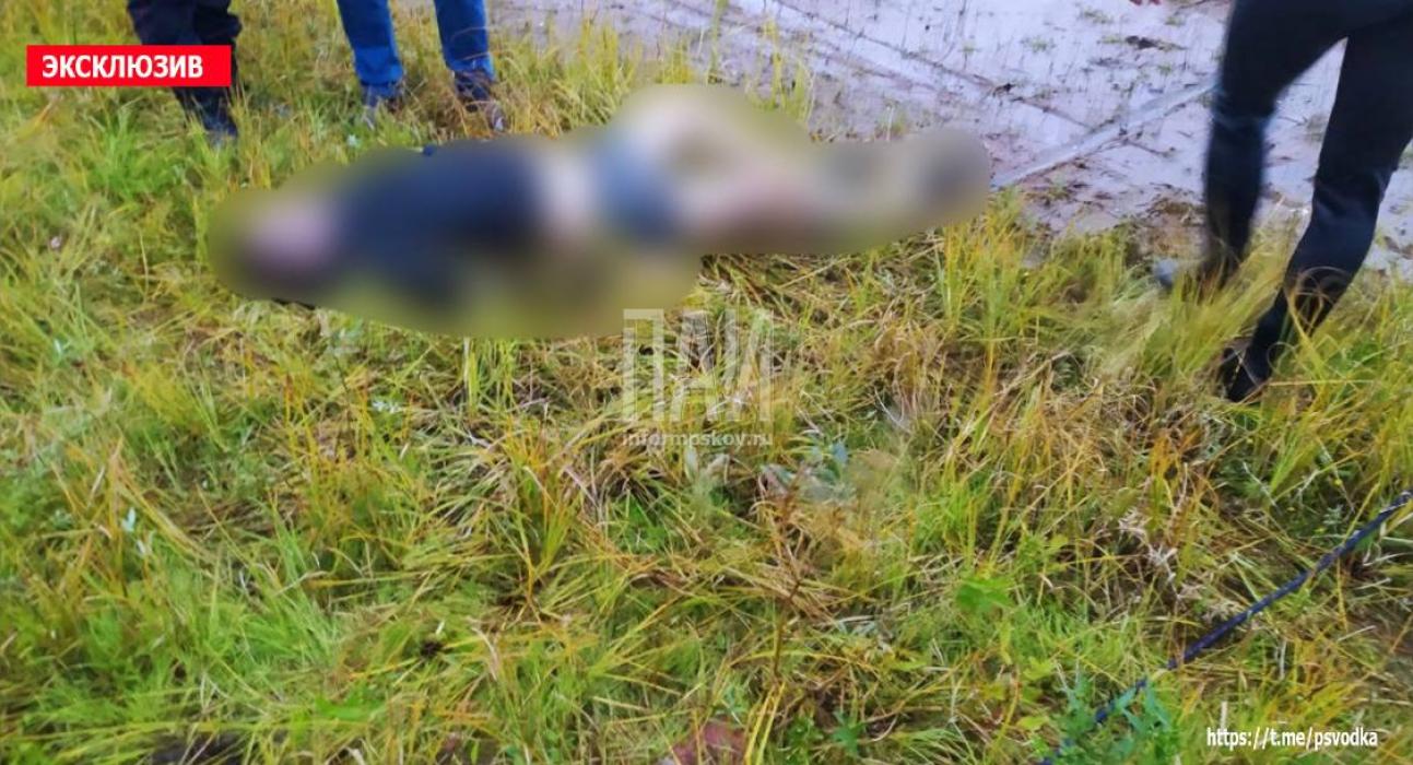 Житель Ленинградской области утонул в Гдовском районе 
