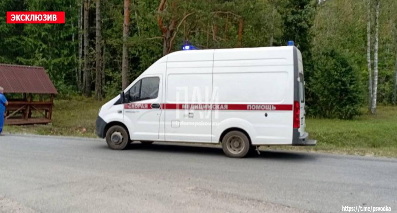 Водителя госпитализировали после ДТП в Невельском районе