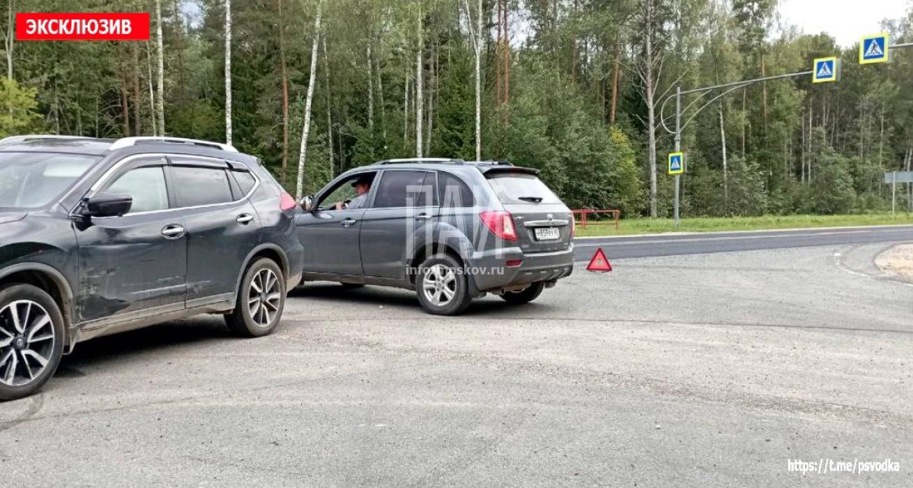 Водителя госпитализировали после ДТП в Невельском районе