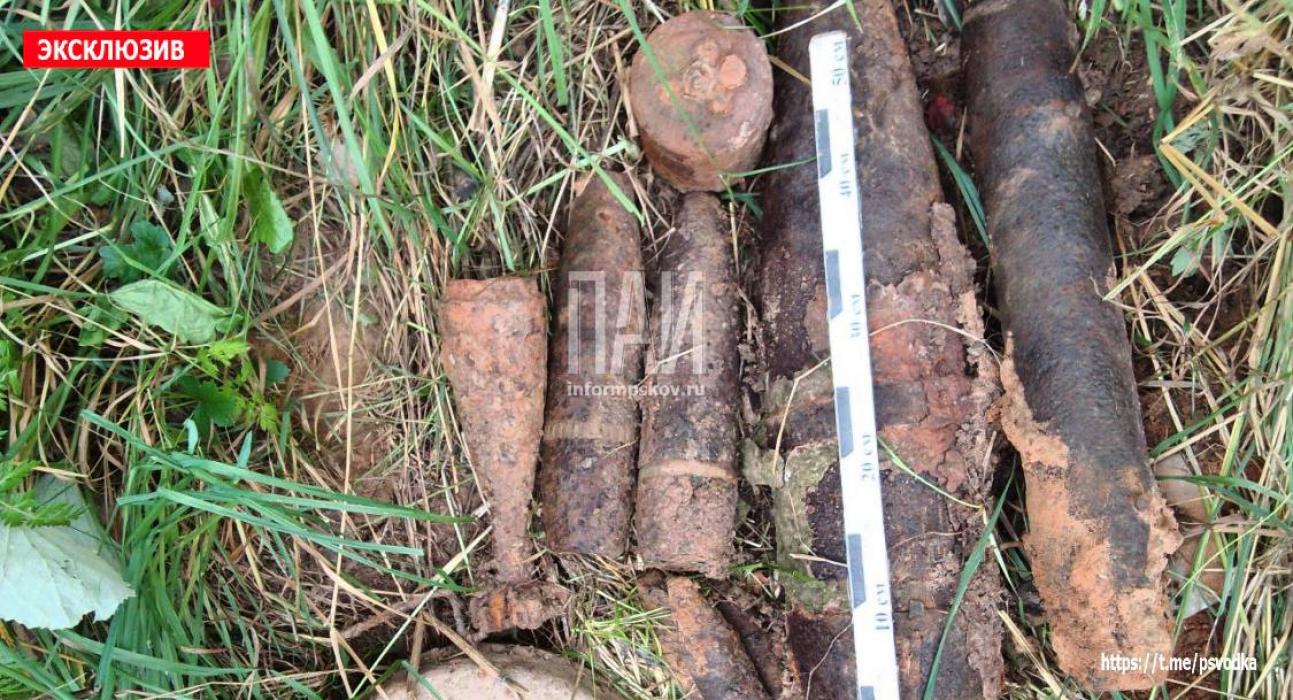10 взрывоопасных боеприпасов времён ВОВ обнаружили в Новосокольническом районе