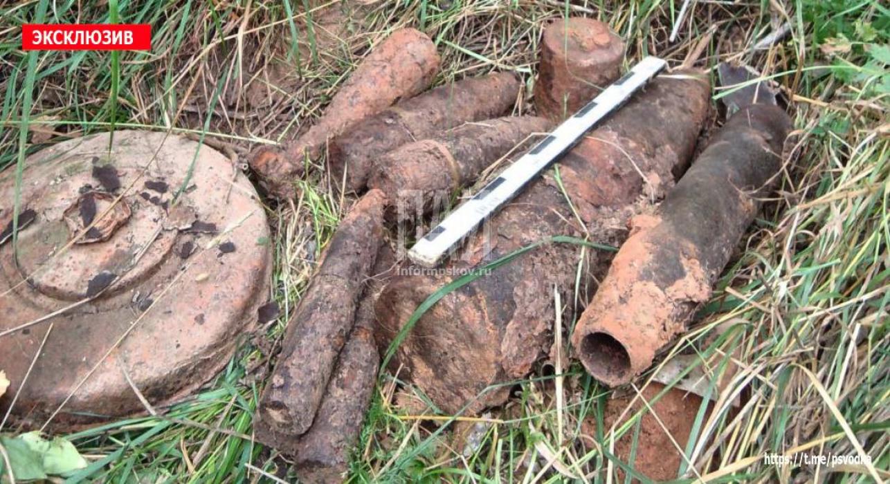 10 взрывоопасных боеприпасов времён ВОВ обнаружили в Новосокольническом районе
