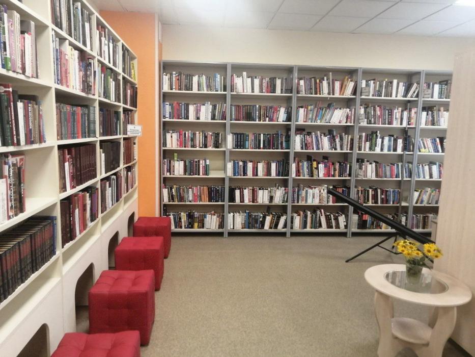 Более 4,5 тысячи новых книг приобрели для модельной библиотеки в Дно