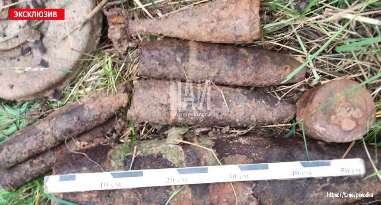 10 взрывоопасных боеприпасов времён ВОВ обнаружили в Новосокольническом районе