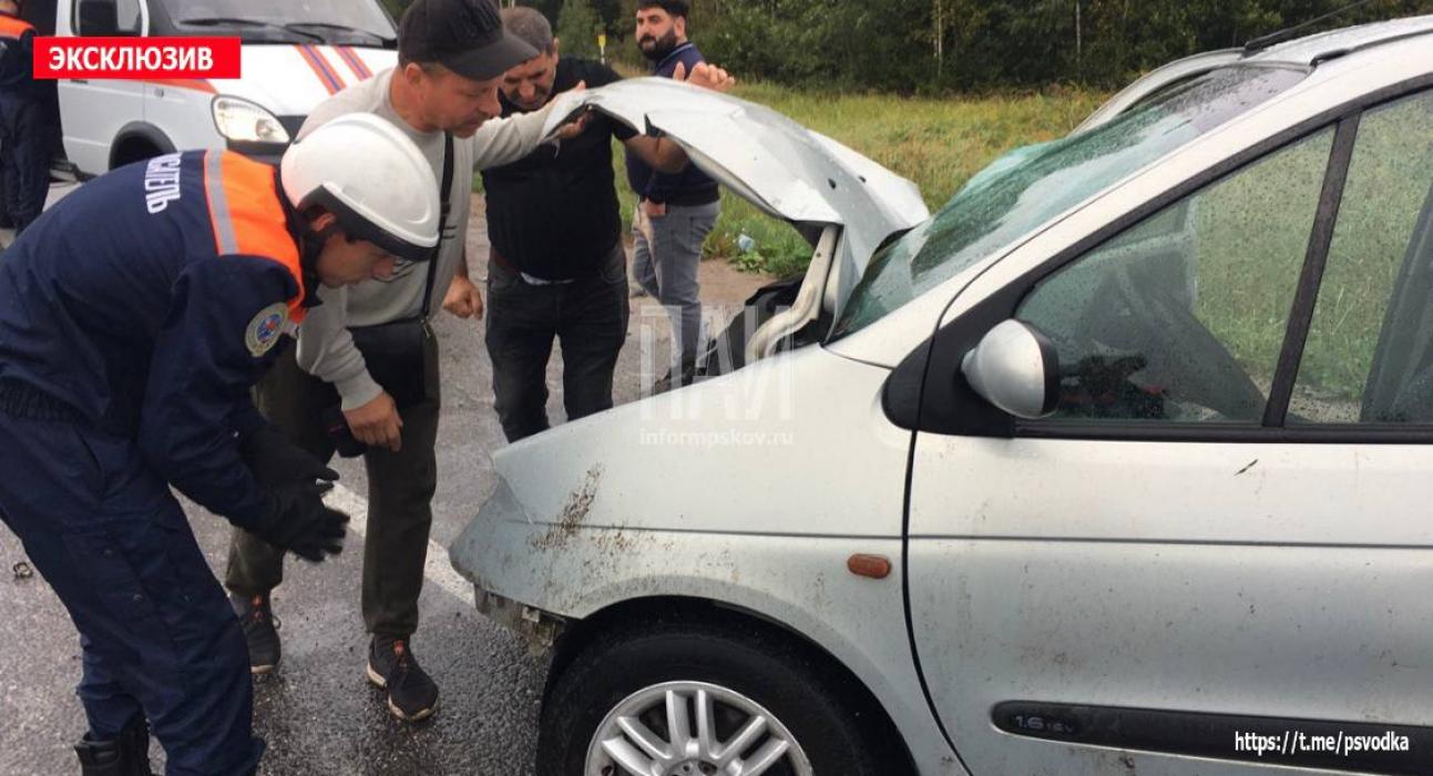 Два человека пострадали в ДТП с участием микроавтобуса в Псковском районе