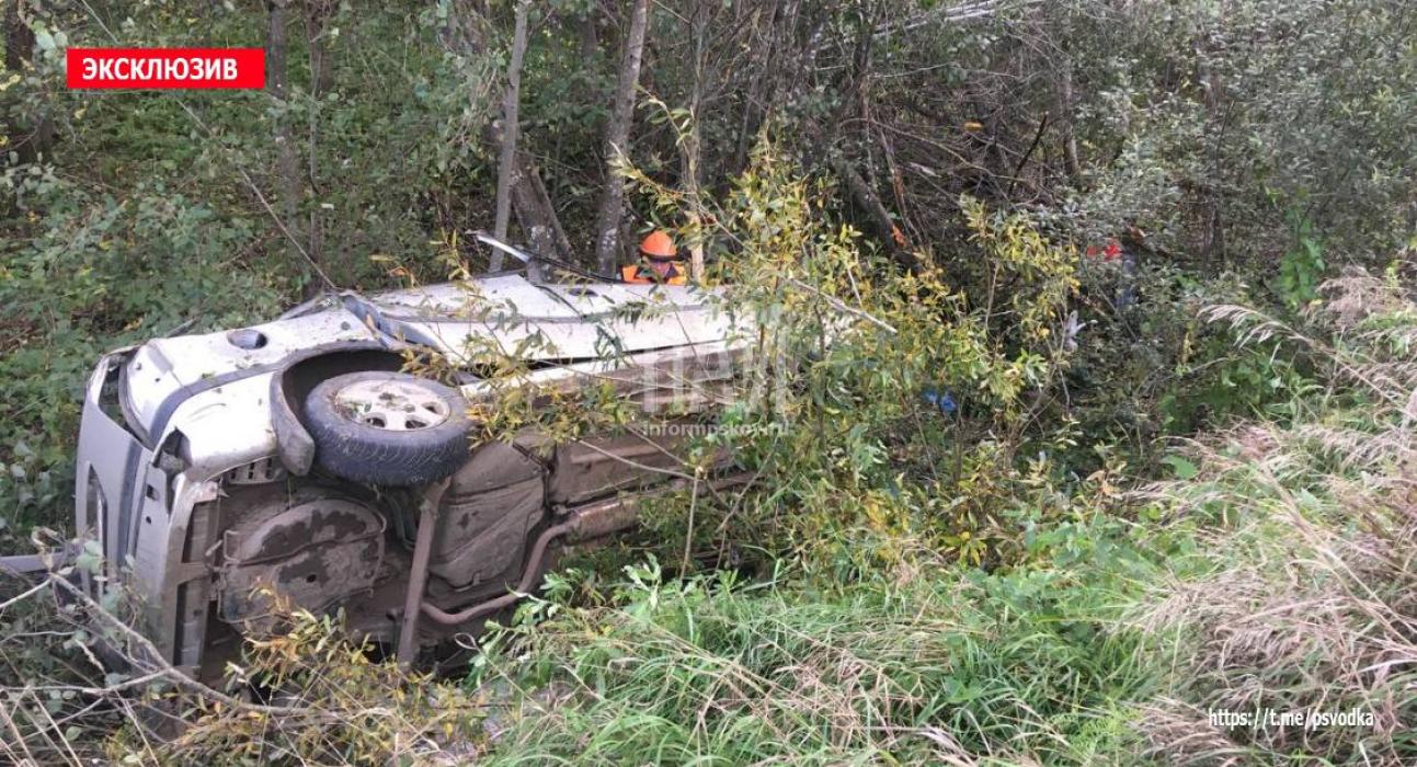 Автомобиль вылетел в кювет в Великолукском районе