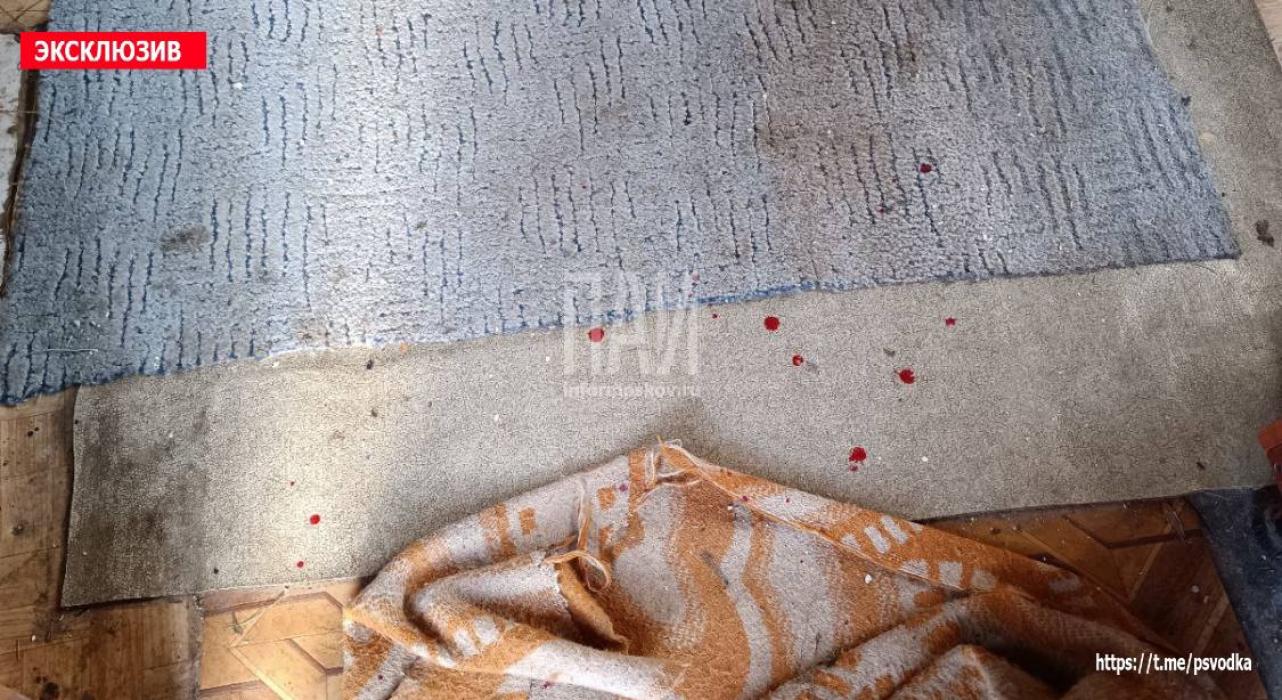 Великолучанка заколола пьяного мужчину ножом во время ссоры