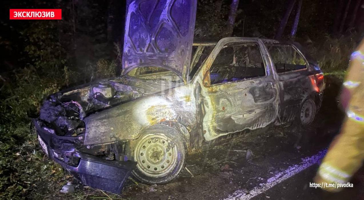 Горящий автомобиль обнаружили на обочине дороги в Псковском районе