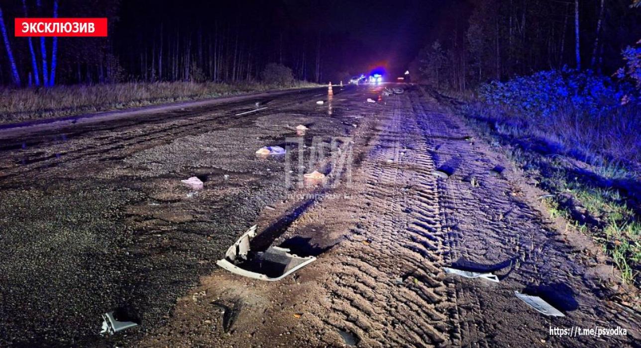 Велосипедистка погибла после ДТП в Опочецком районе