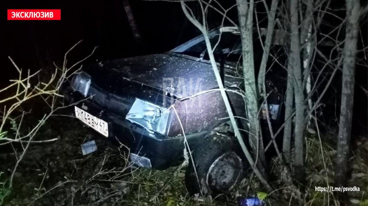 Водитель пострадал после вылета в кювет в Локнянском районе