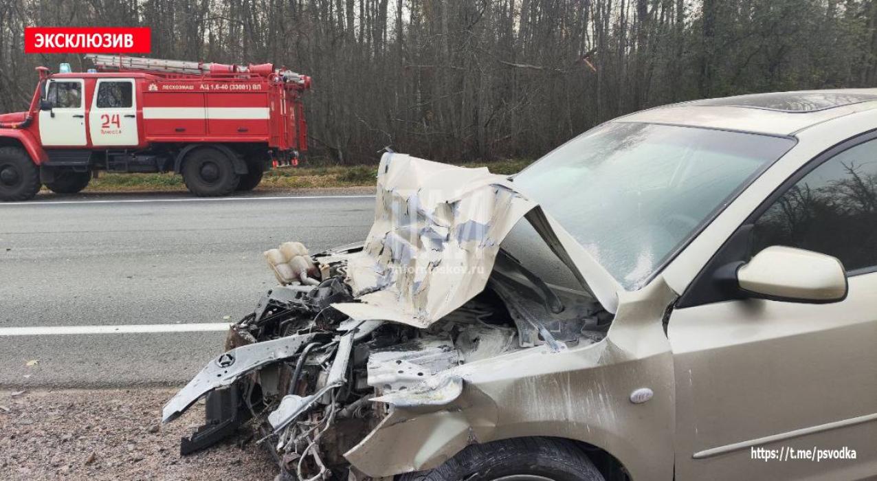 Автомобиль врезался в грузовик в Плюсском районе