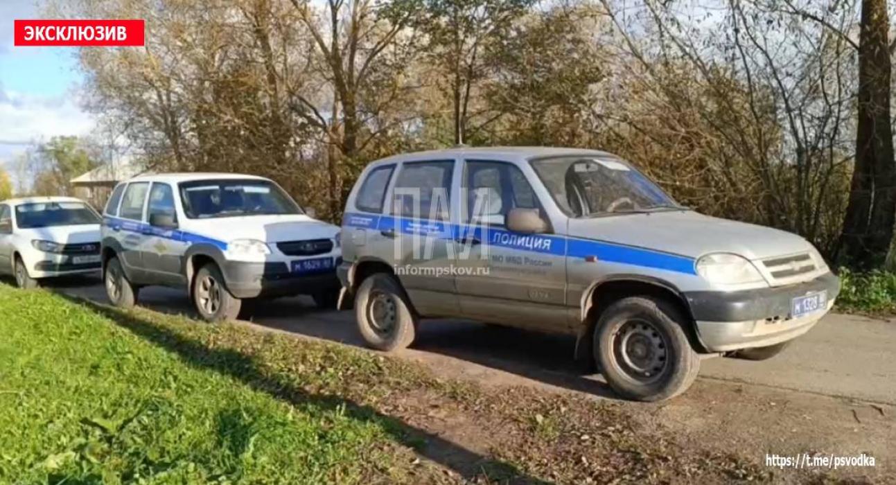 Великолучанка заколола пьяного мужчину ножом во время ссоры
