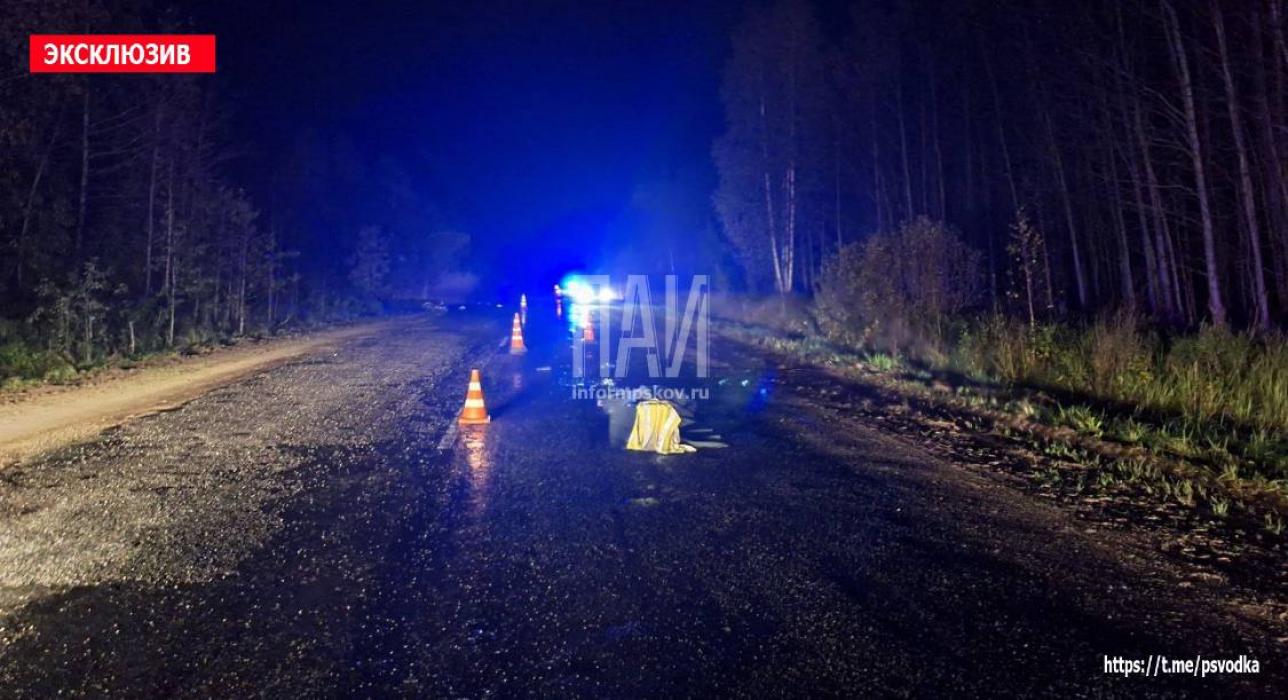 Велосипедистка погибла после ДТП в Опочецком районе