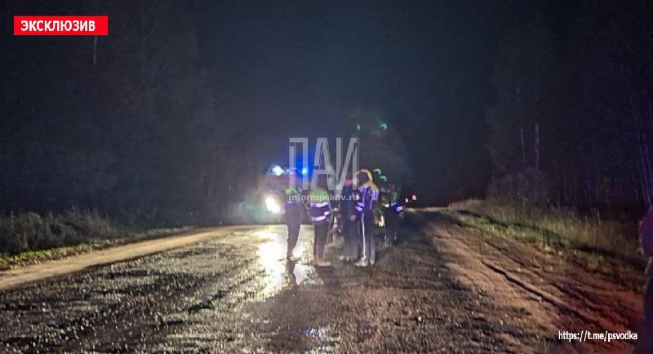 Велосипедистка погибла после ДТП в Опочецком районе