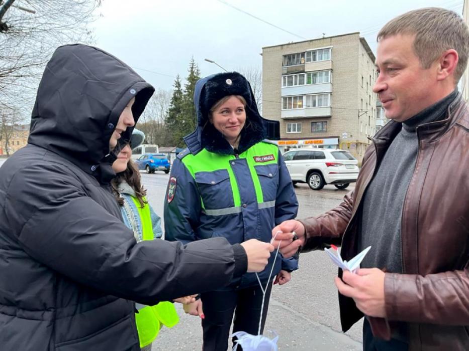 Акция в преддверии Дня памяти жертв ДТП прошла в Великих Луках