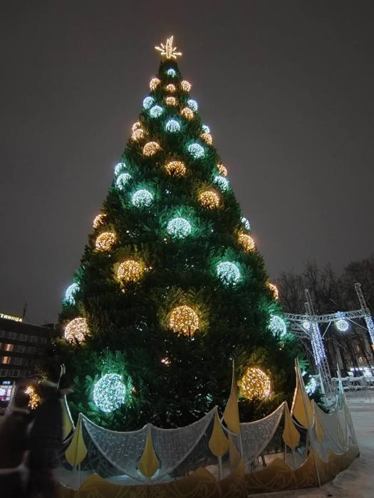 Праздничные огни зажглись на городской ёлке в Великих Луках