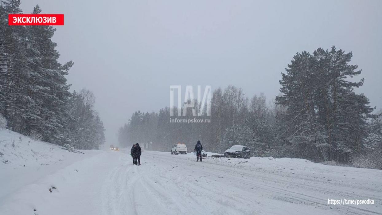 ДТП в Пушкиногорском районе