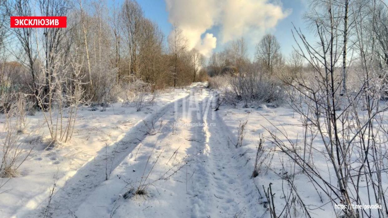 Пожарные ликвидируют возгорание в Порховском районе