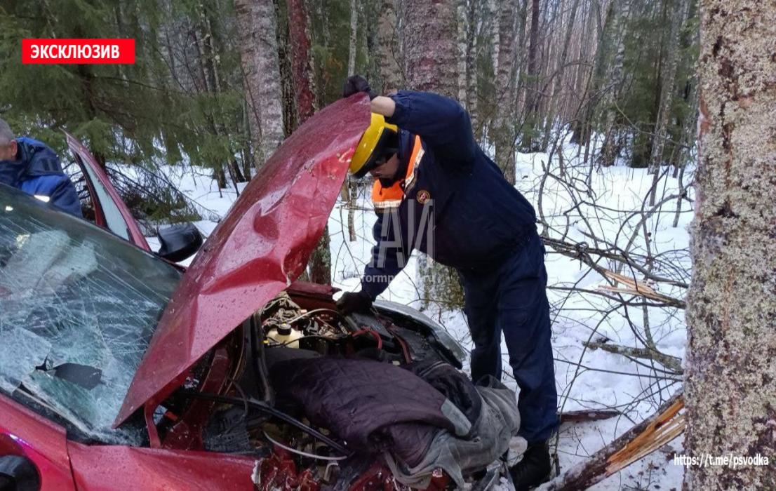Нетрезвый водитель вылетел в кювет на трассе Псков – Гдов