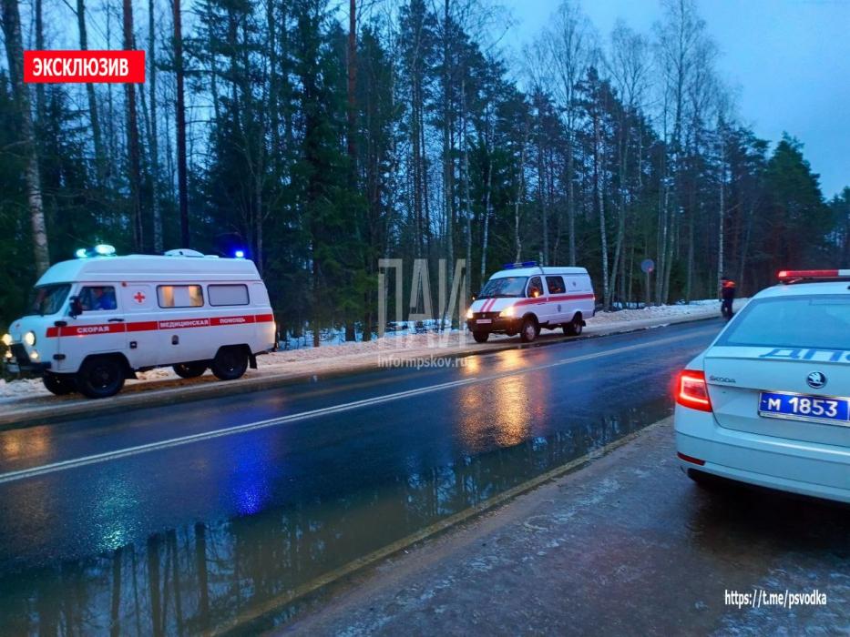 Нетрезвый водитель вылетел в кювет на трассе Псков – Гдов