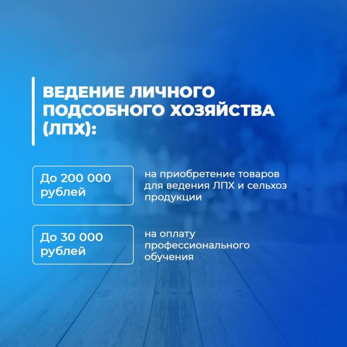Социальный контракт