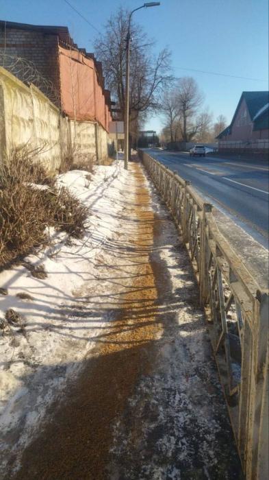 В Пскове проводят обработку дорог от гололёда