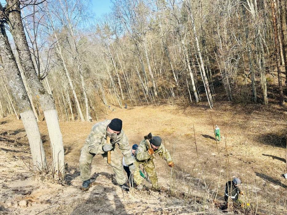 Территорию Святогорского монастыря очистили от мусора и листвы