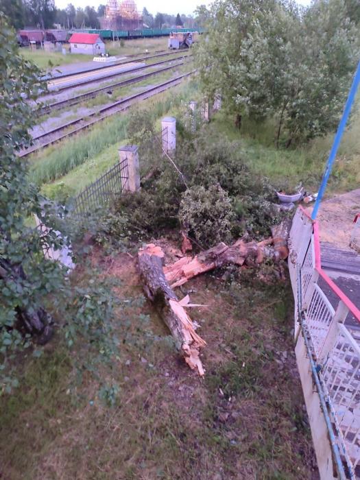 Последствия грозы устраняют в Дновском районе