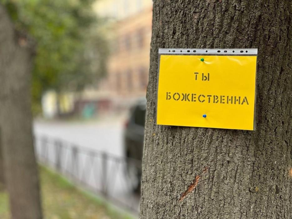 Милые послания развесил неизвестный на улице в Великих Луках