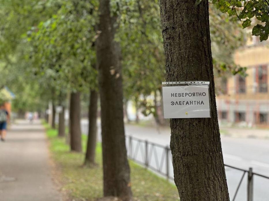 Милые послания развесил неизвестный на улице в Великих Луках