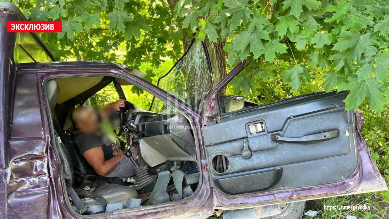 Автомобиль протаранил дерево в Палкинском районе