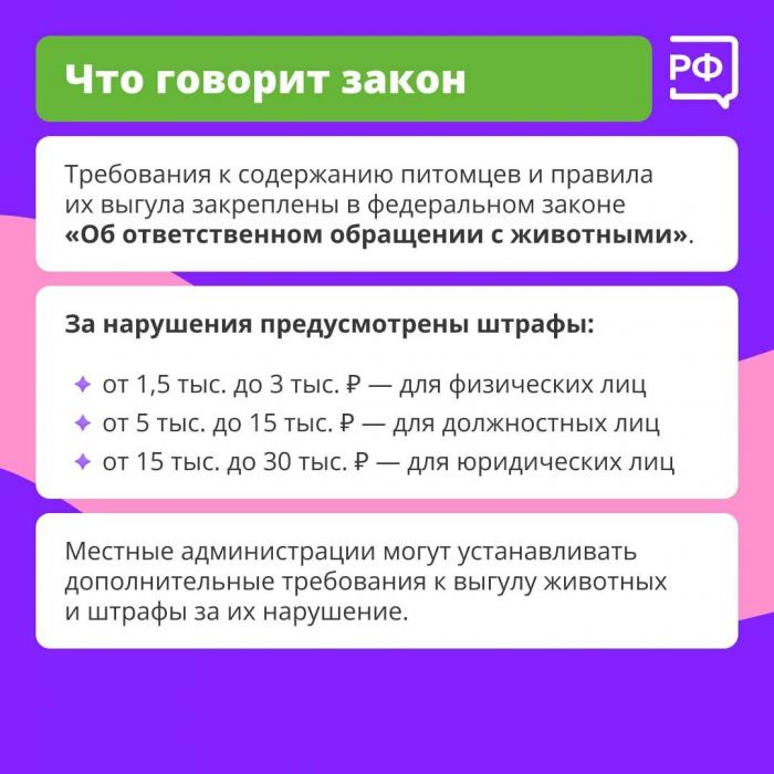 Главное правило при прогулке с собакой назвали специалисты