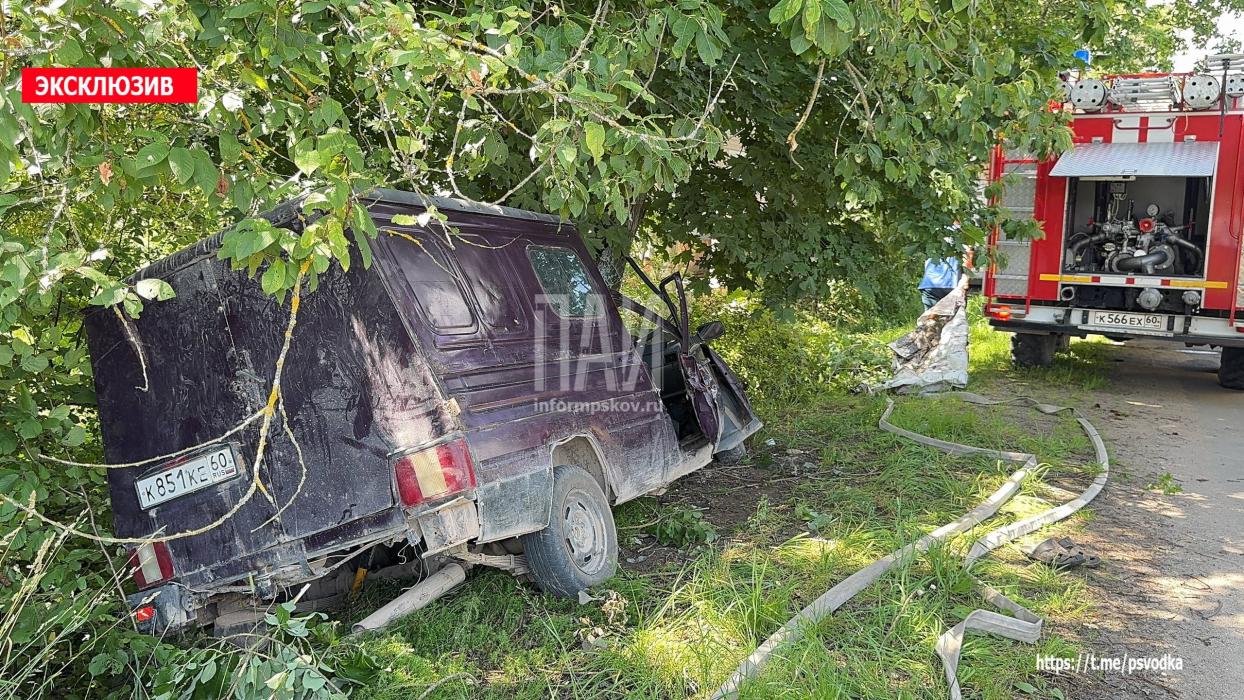 Автомобиль протаранил дерево в Палкинском районе