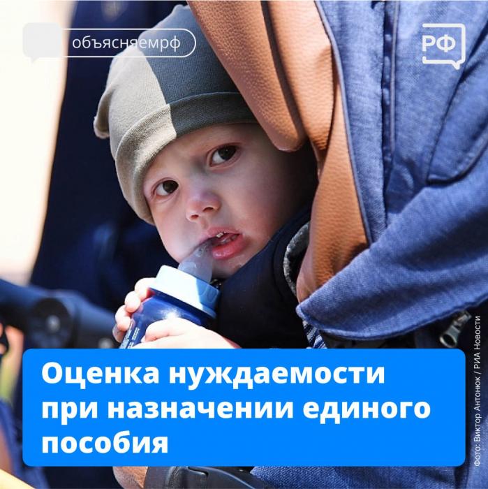 ​Псковичам рассказали, как проходит оценка нуждаемости при назначении единого пособия