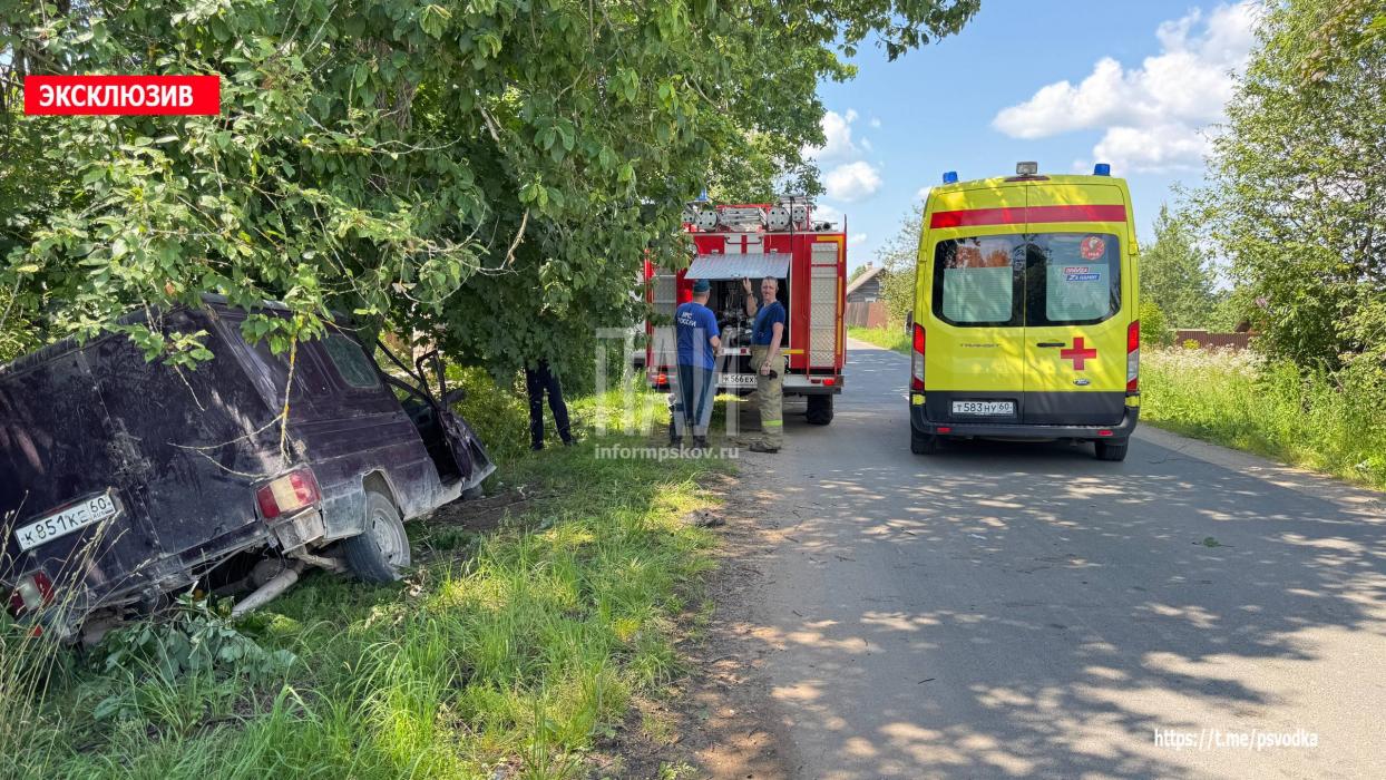 Автомобиль протаранил дерево в Палкинском районе