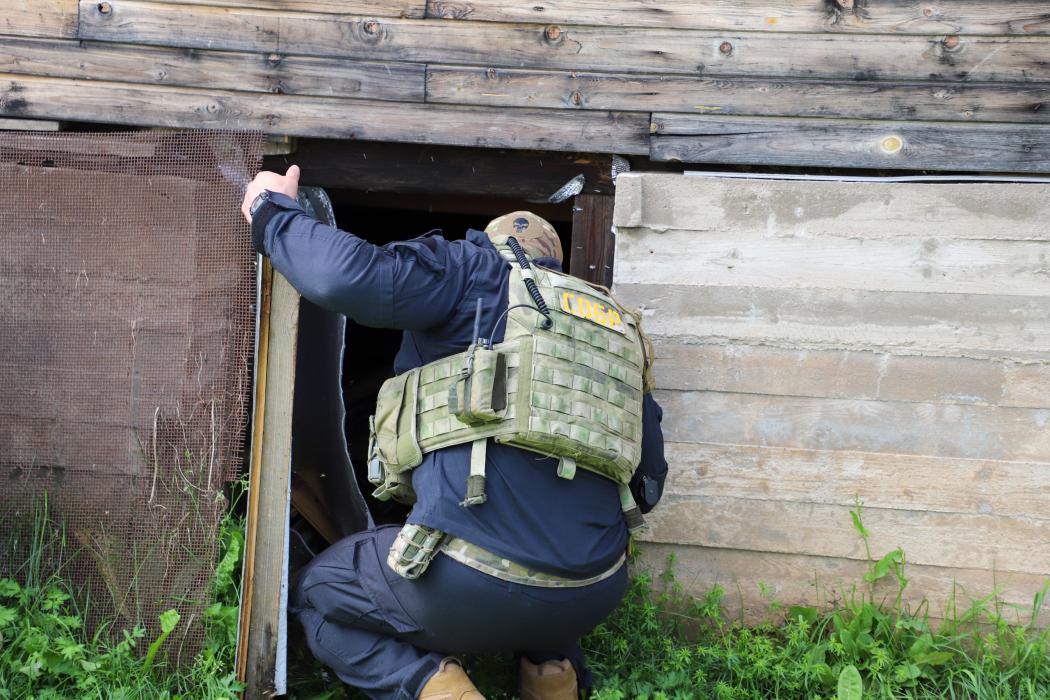 Задержание подозреваемых 