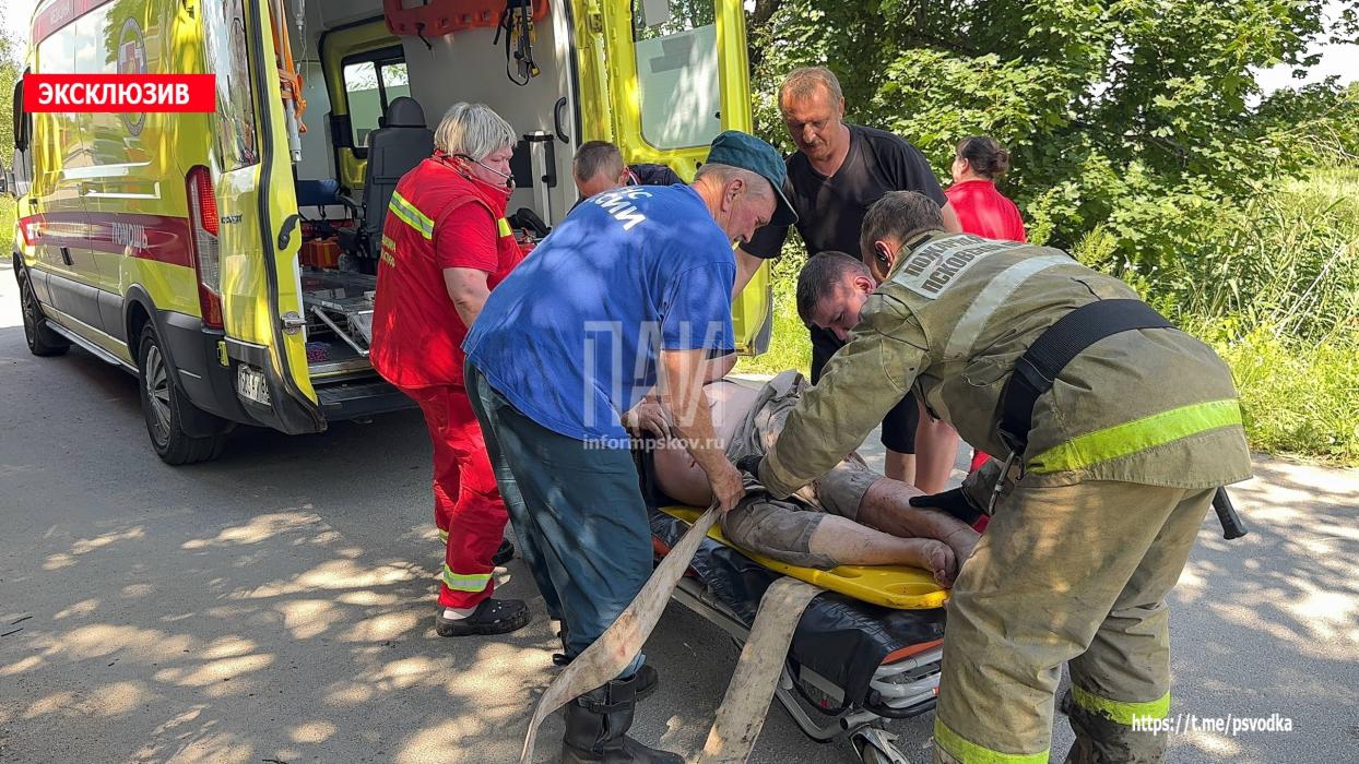 Автомобиль протаранил дерево в Палкинском районе
