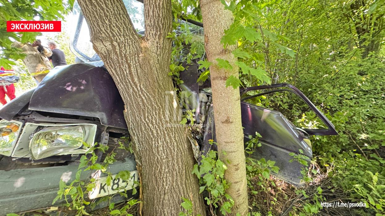 Автомобиль протаранил дерево в Палкинском районе