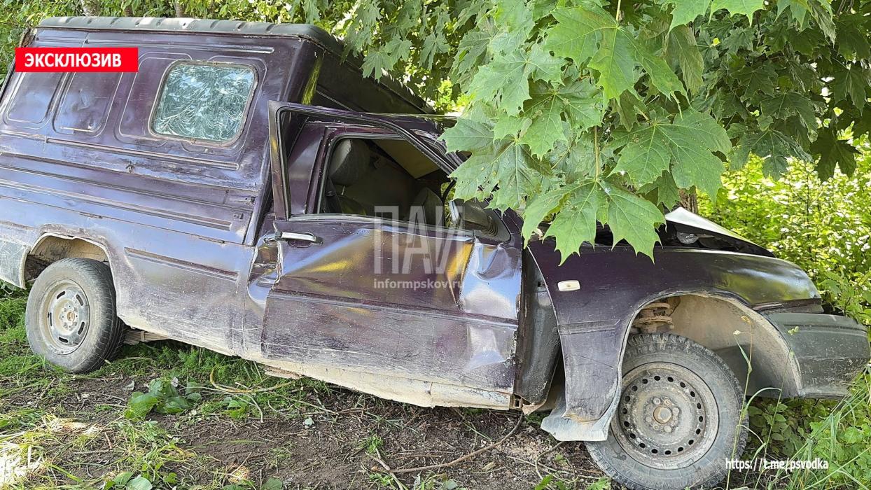Автомобиль протаранил дерево в Палкинском районе