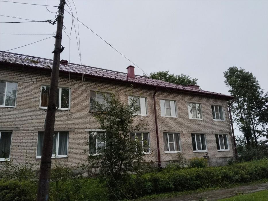 Поваленные деревья