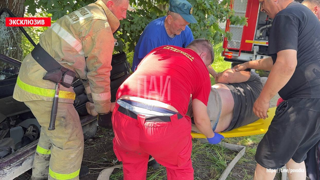 Автомобиль протаранил дерево в Палкинском районе