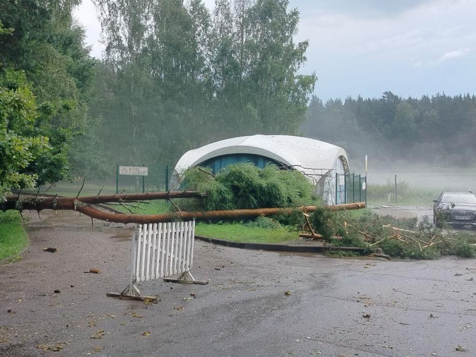 Непогода в Пушкиногорском округе