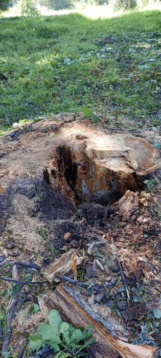 Благоустройство в Гдове 