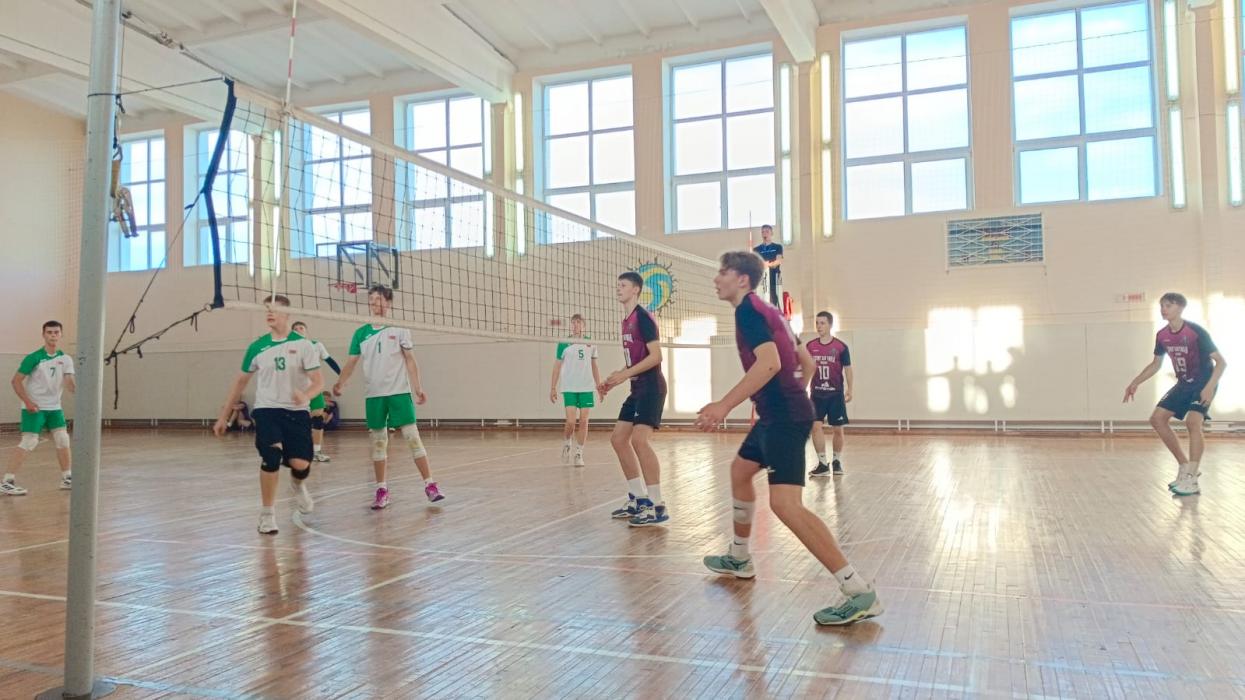 Псковские волейболисты играют в международном турнире в Белоруссии